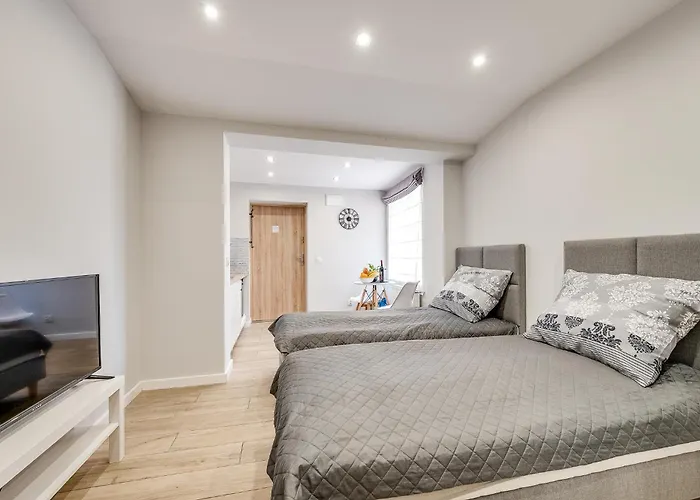 Platinum 30 Z Aneksem Kuchennym Apartament Rybnik (Silesia)